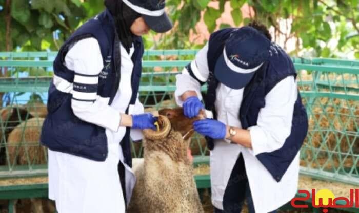 Onsa Eid al-Adha Celebrated Amid Challenges