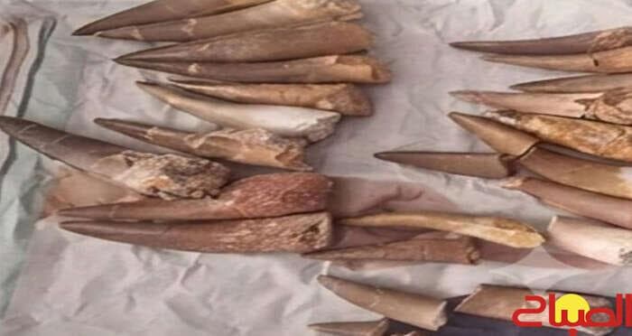 إحباط تهريب كنوز مغربية نادرة