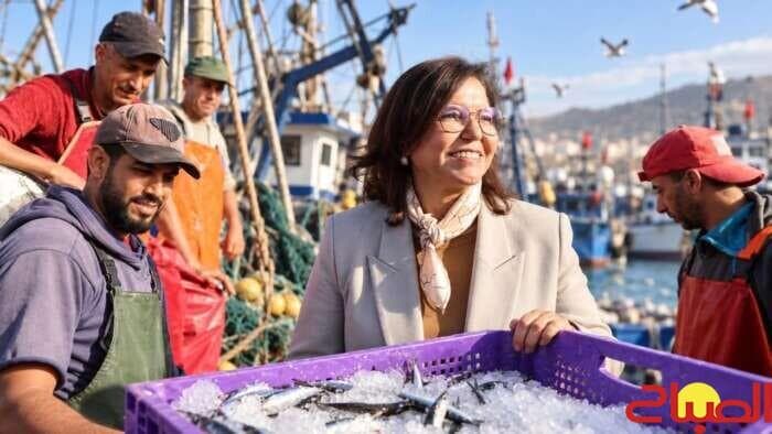 Sardine catch rises 66% in 8 months