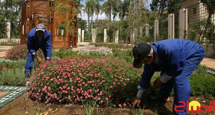 سجناء في مرافق الجماعات بأكتوبر