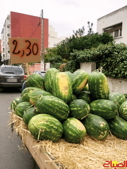 Zagora Watermelon Case before Court