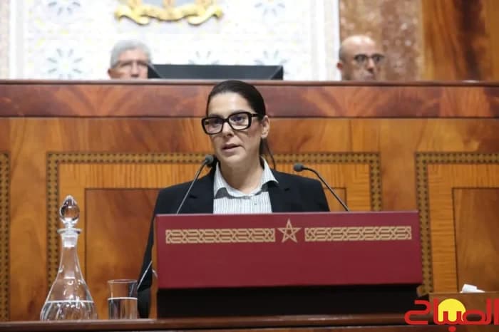 Al-Mansouri vows to target illicit enrichment