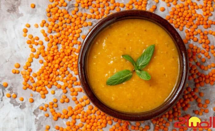 Lentil Soup Report