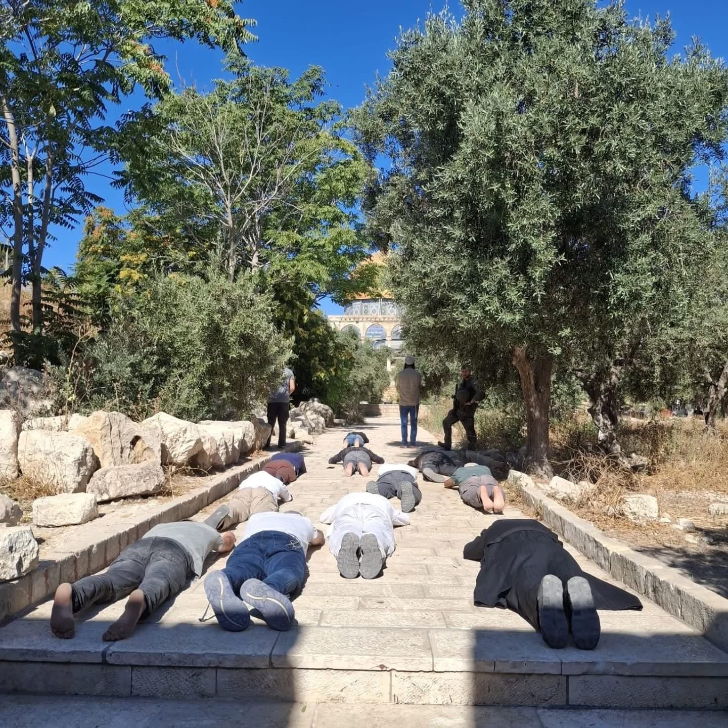 256 settlers enter Al-Aqsa courtyards