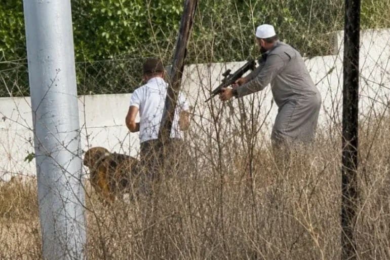 ميدل إيست آي: الفلسطينيون يحددون توقيت ومكان التصعيد