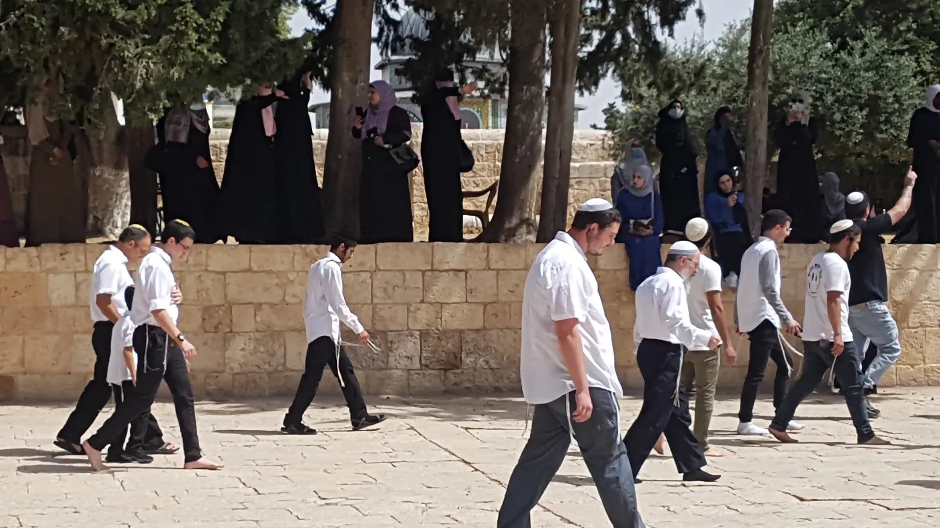 Settlers escorted by Glick storm Al-Aqsa
