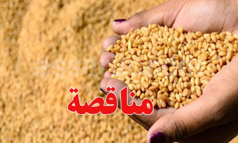 ديوان الحبوب يعلن عن مناقصة لشراء قمح وشعير