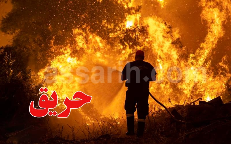 حريقان يتزامنان في غابات عين دراهم