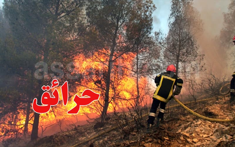 296 Fires Doused in 24 Hours
