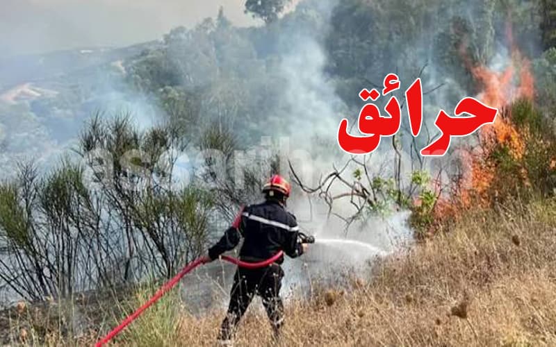 جندوبة تسيطر على حريقين في طبرقة وغار الدماء