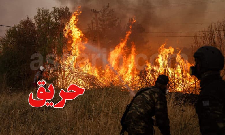 Baja: Fire on Mount Al-Hari in Mughar al-Bab Under Control