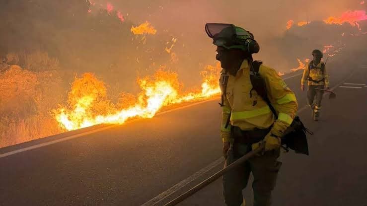 Twelve People Killed in Spain's Wildfires