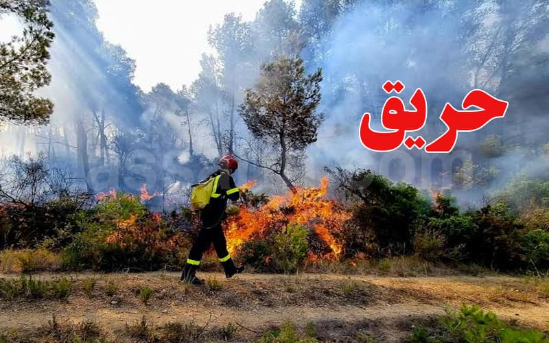 إخماد حريق في جبل غار الملح ورفراف