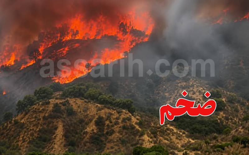 بعد جهود مستمرة على مدار الساعة.. السيطرة على حريق جبل الشحمة في زغوان
