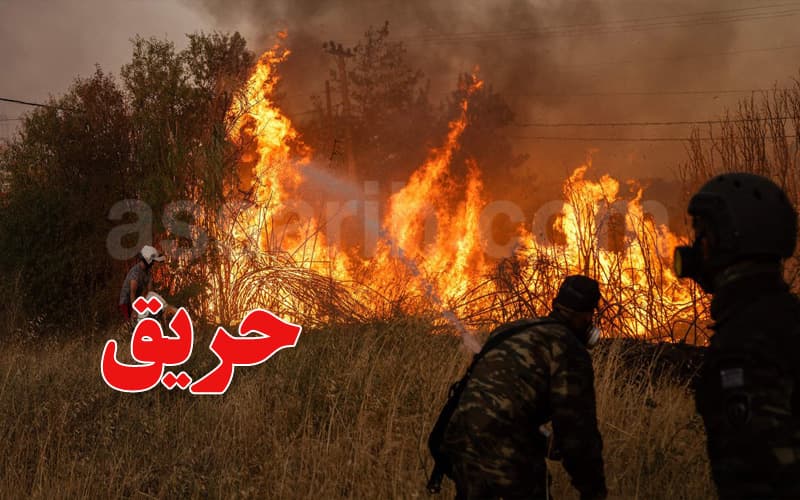 سليانة: حريق كبير في ضيعة فلاحية يخلف أضرارا كبيرة