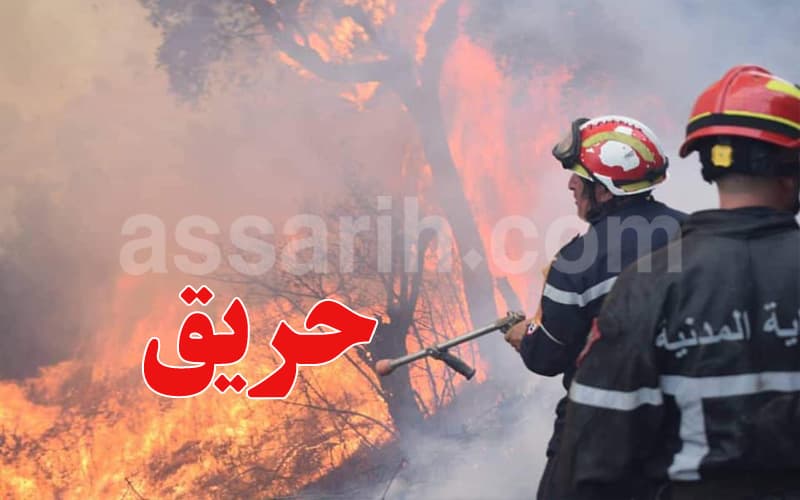 نابل تتغلب على حريق جبل دلاج