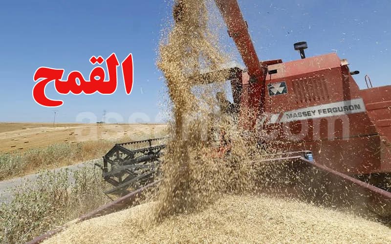 Iran Ministry clarifies wheat storage amid war