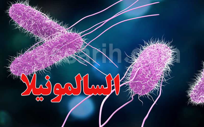 قابس: انتشار السالمونيلا يحول فرحة العرس إلى تسمم جماعي