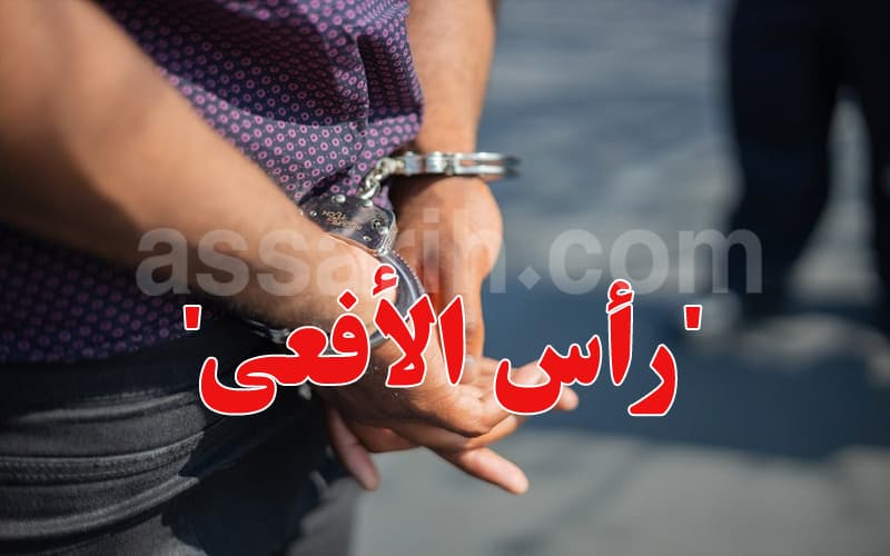 إحباط شبكة دعارة ومخدرات في منوبة