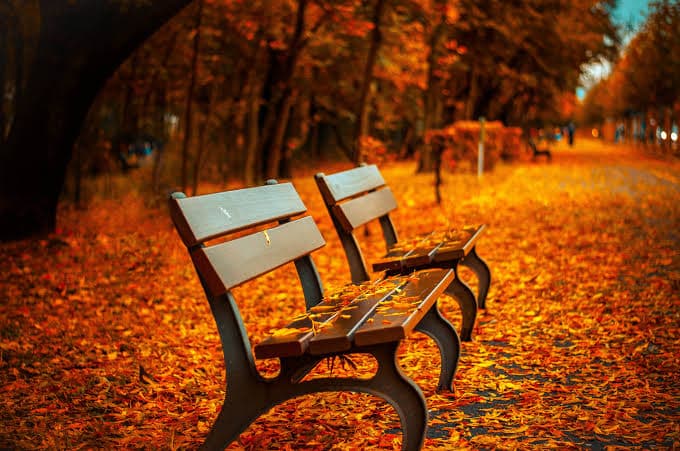Fall 2026 Expected with Higher Temps and Rain