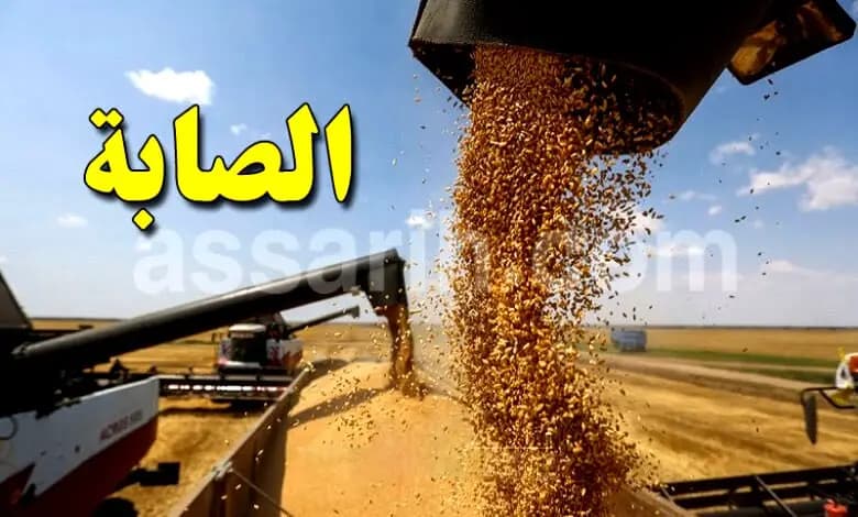 Grain harvest exceeds 10M quintals
