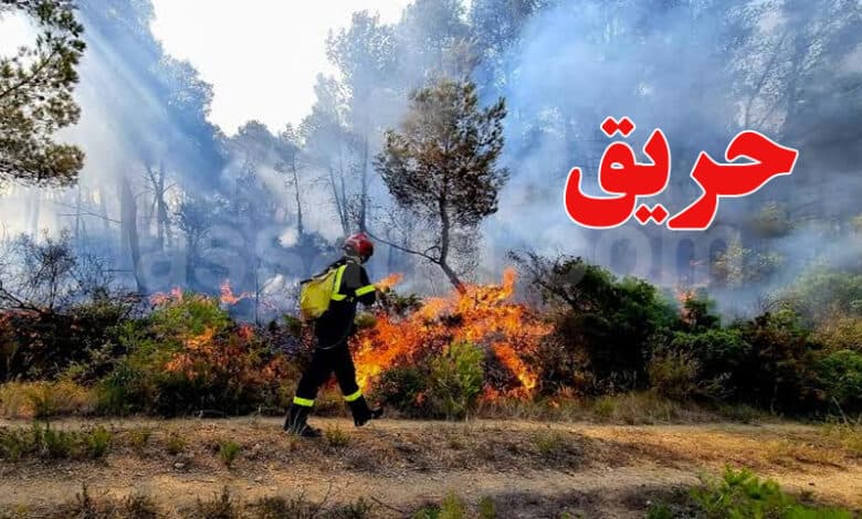 Jendouba: Fire at Sidi Abid Suppressed