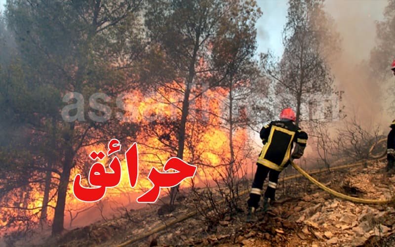 Civil Defense reports over 5,000 fires in July