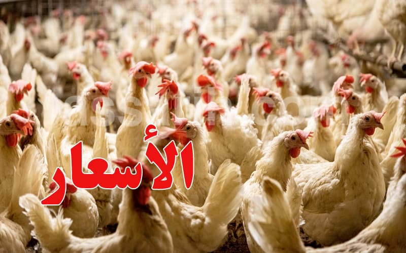 انخفاض الإنتاج يرفع أسعار اللحوم البيضاء