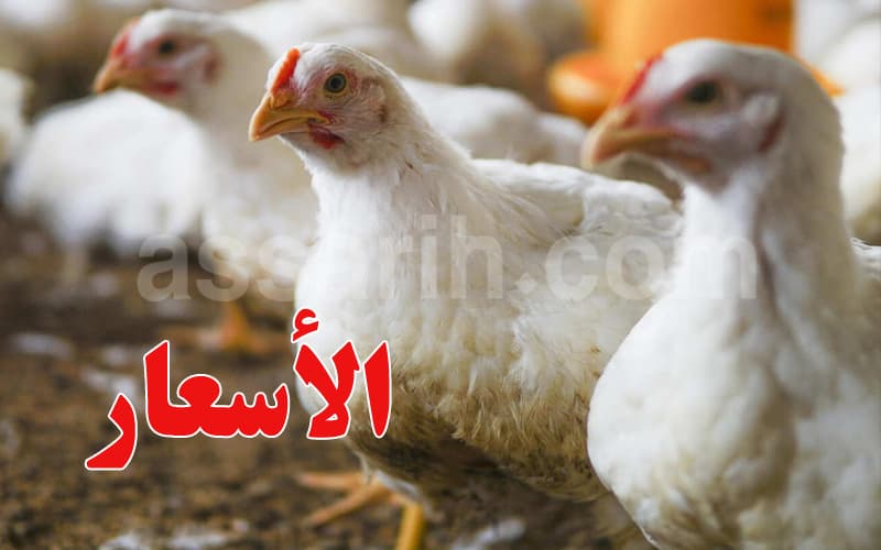 Poultry traders seek profit margin rules
