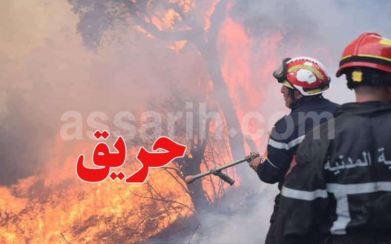 Jendouba Jebel Bourbaah fire contained