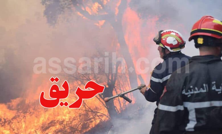 سليانة: استمرار جهود إخماد حريق جبل بولمان