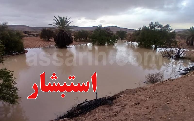 أمطار غزيرة في الجنوب تثير تفاؤلا