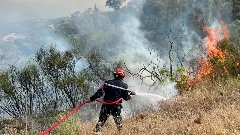 Civil Defense Reports 121 Fires Extinguished