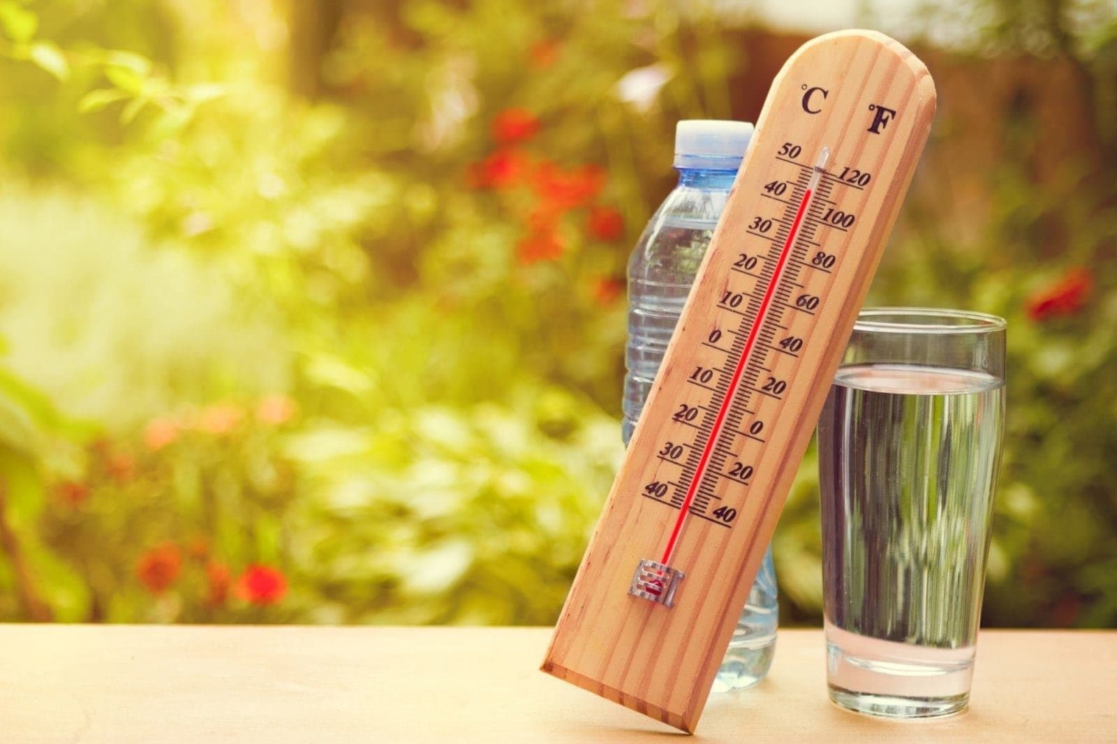 Today Temperature Drop - Assarih