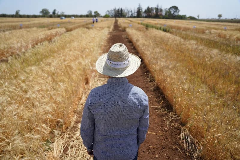 Farmers' Union Demands Urgent Action