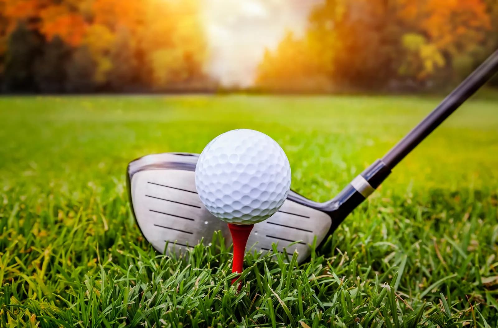 Tunis Appointed as African Golf Vice President