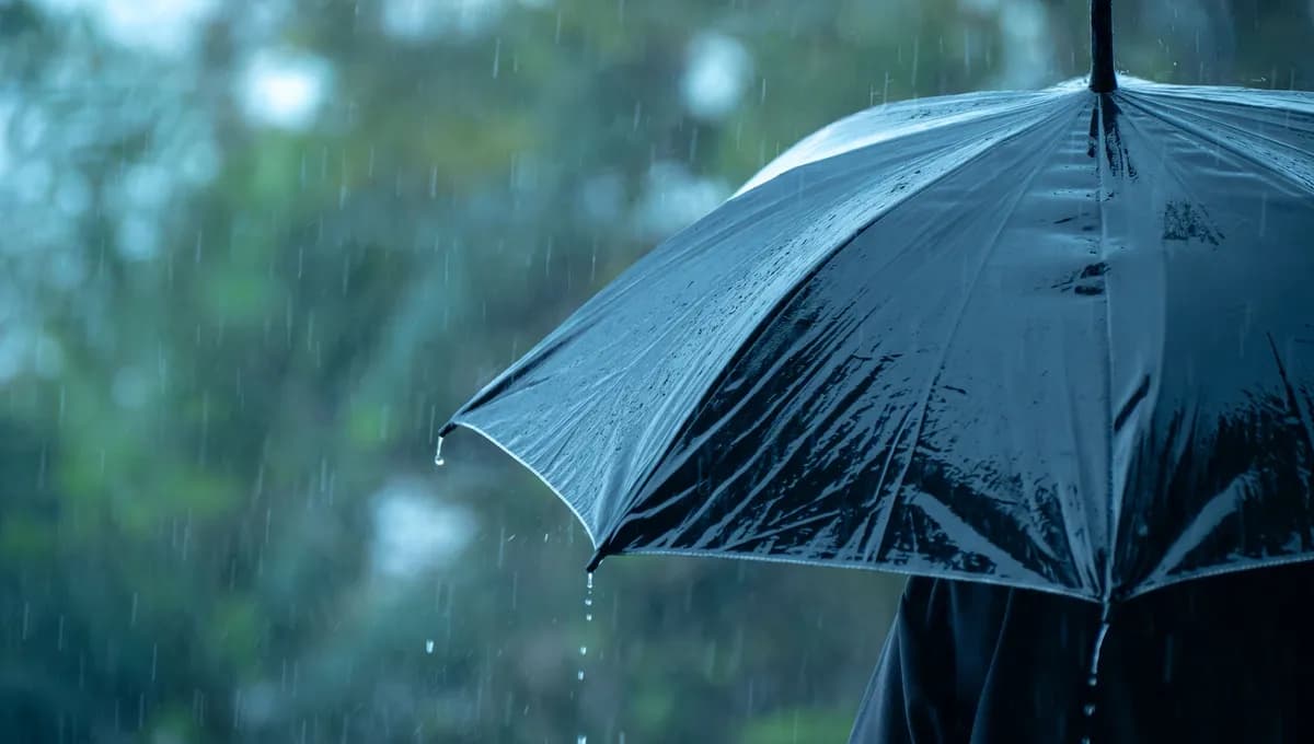 Rainfall totals in cities over 24 hours