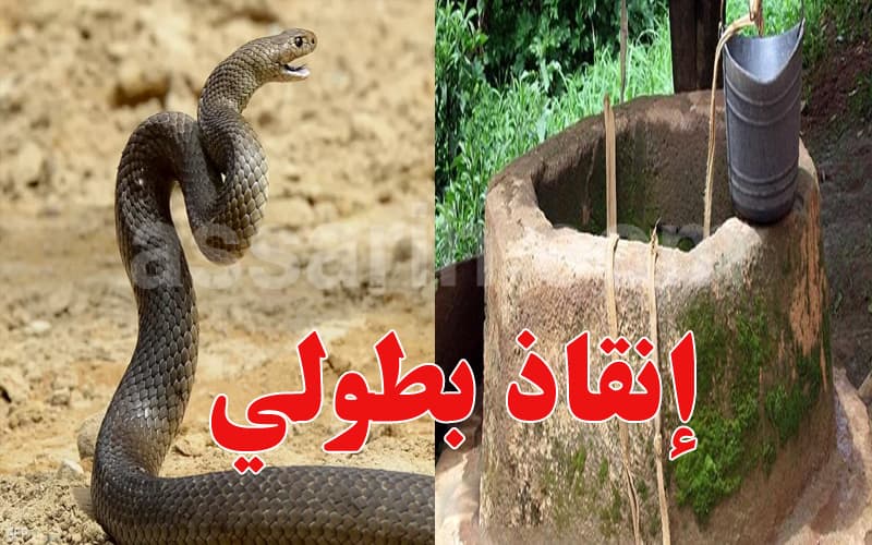 نجاة فتاة من بئر عميقة بعد مواجهة ثعبان