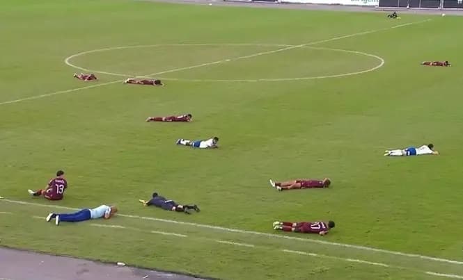 سرب نحل يعطل مباراة نهائية