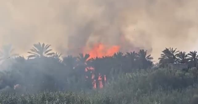 حريق يضر بساتين المثنى