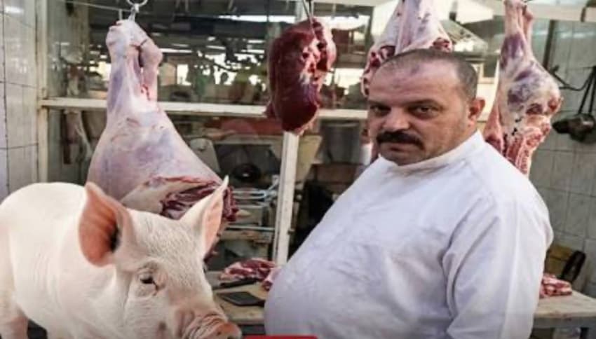 Najaf pig butcher summoned to court