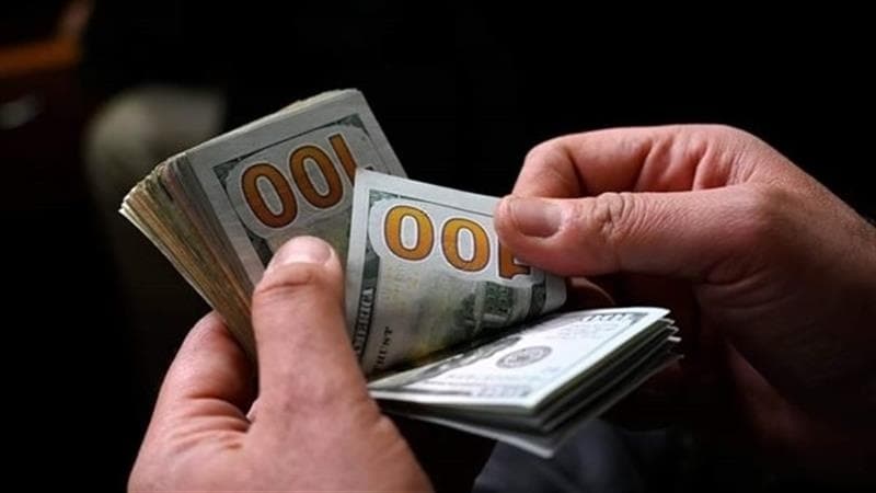 Dollar dominance raises exchange rate concerns
