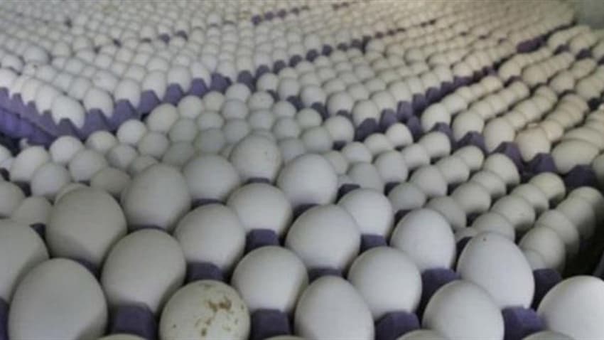 العراق يعفي من الرسوم الجمركية على المواد الغذائية والأدوية حتى 2026