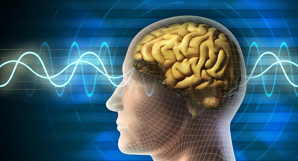 علماء يمنحون أدمغة المختبر إحساساً بالمكان