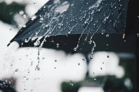 Kingdom rainfall totals in last 24 hours