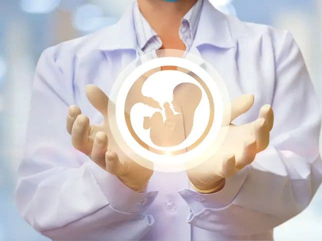 Maghreb fertility decline indicates aging