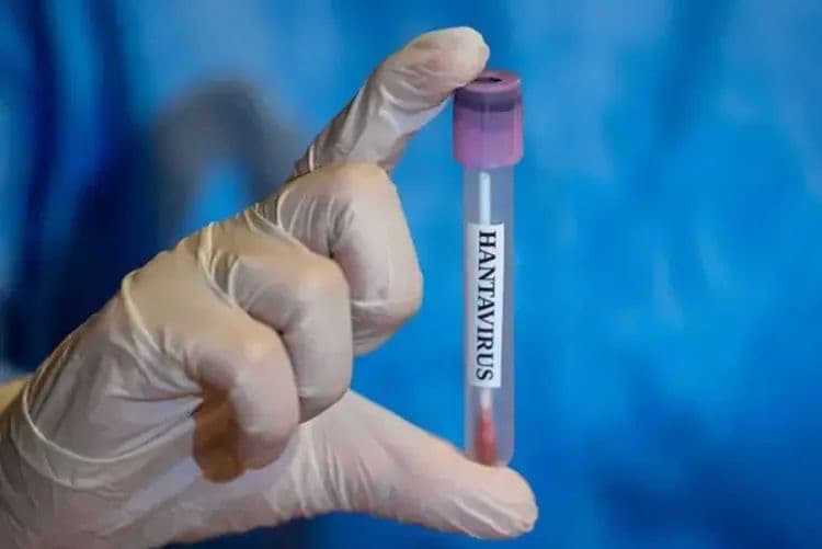 WHO reports Hantavirus cases reach 13