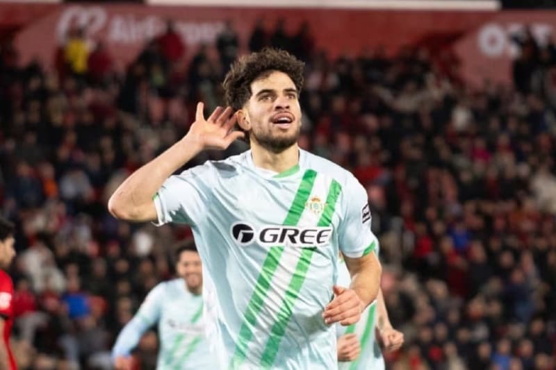 Newcastle Pursues Abdessamad Zeljouli