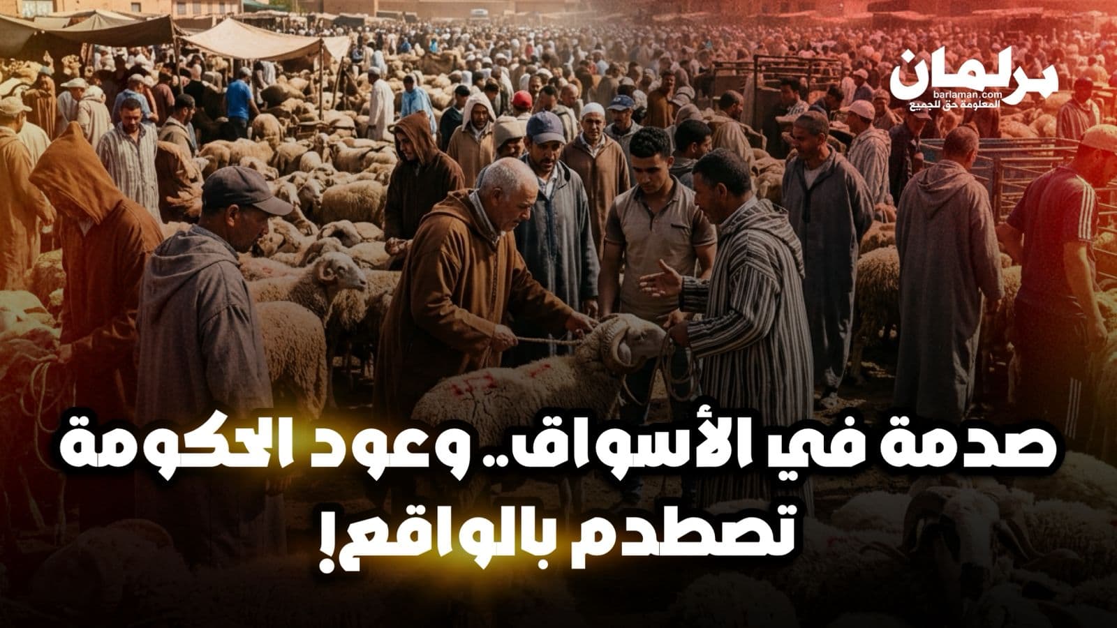 Supply shortage Raises Eid Sacrifice Concerns