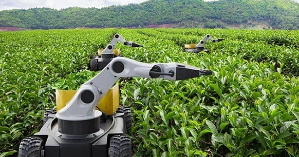 First open-source AI for crop protection